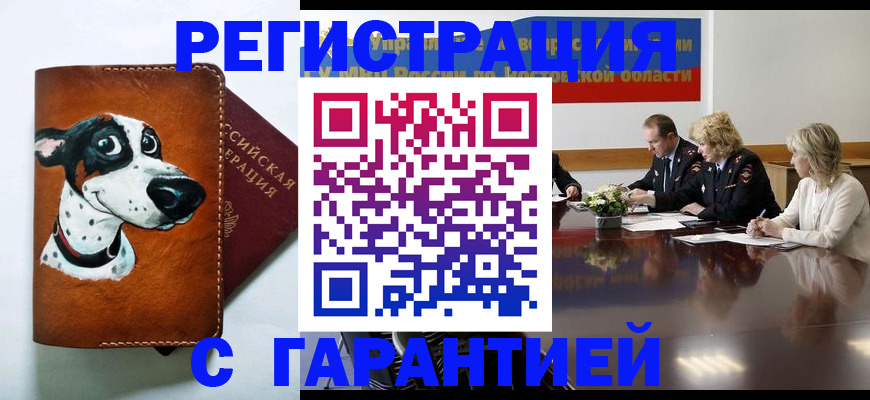 временная регистрация для всех в Новокузнецке